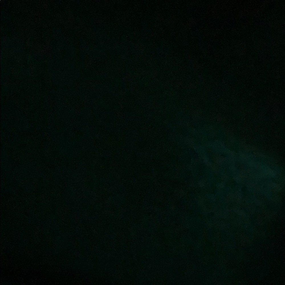 Meet your Posher, Bella